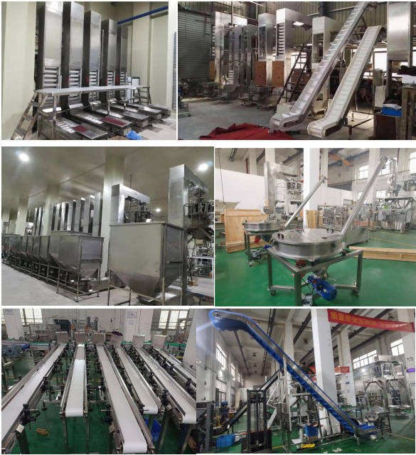 Belt Conveyor thumbnail 9